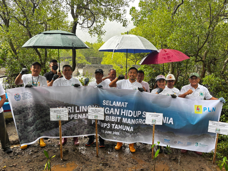 Dalam Rangka Hari Lingkungan Hidup Sedunia, PLN UP3 Tahuna Perkuat Komitmen Lingkungan melalui Program Penanaman Mangrove